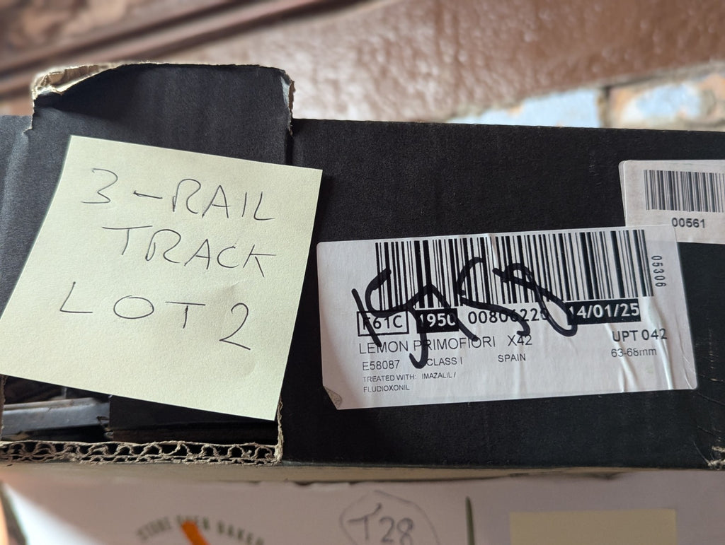 TTR Trix Twin Railways Track – Job Lot – Rusty
