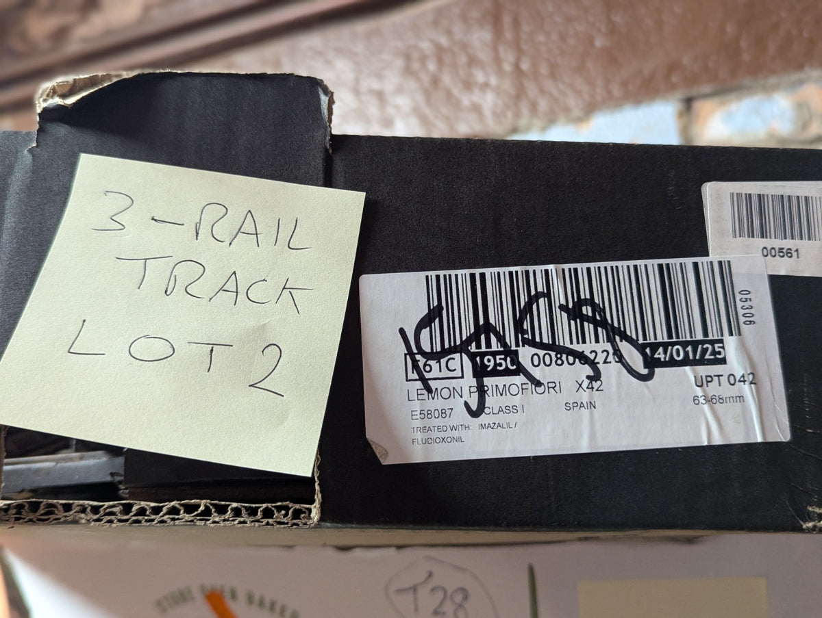 TTR Trix Twin Railways Track – Job Lot – Rusty