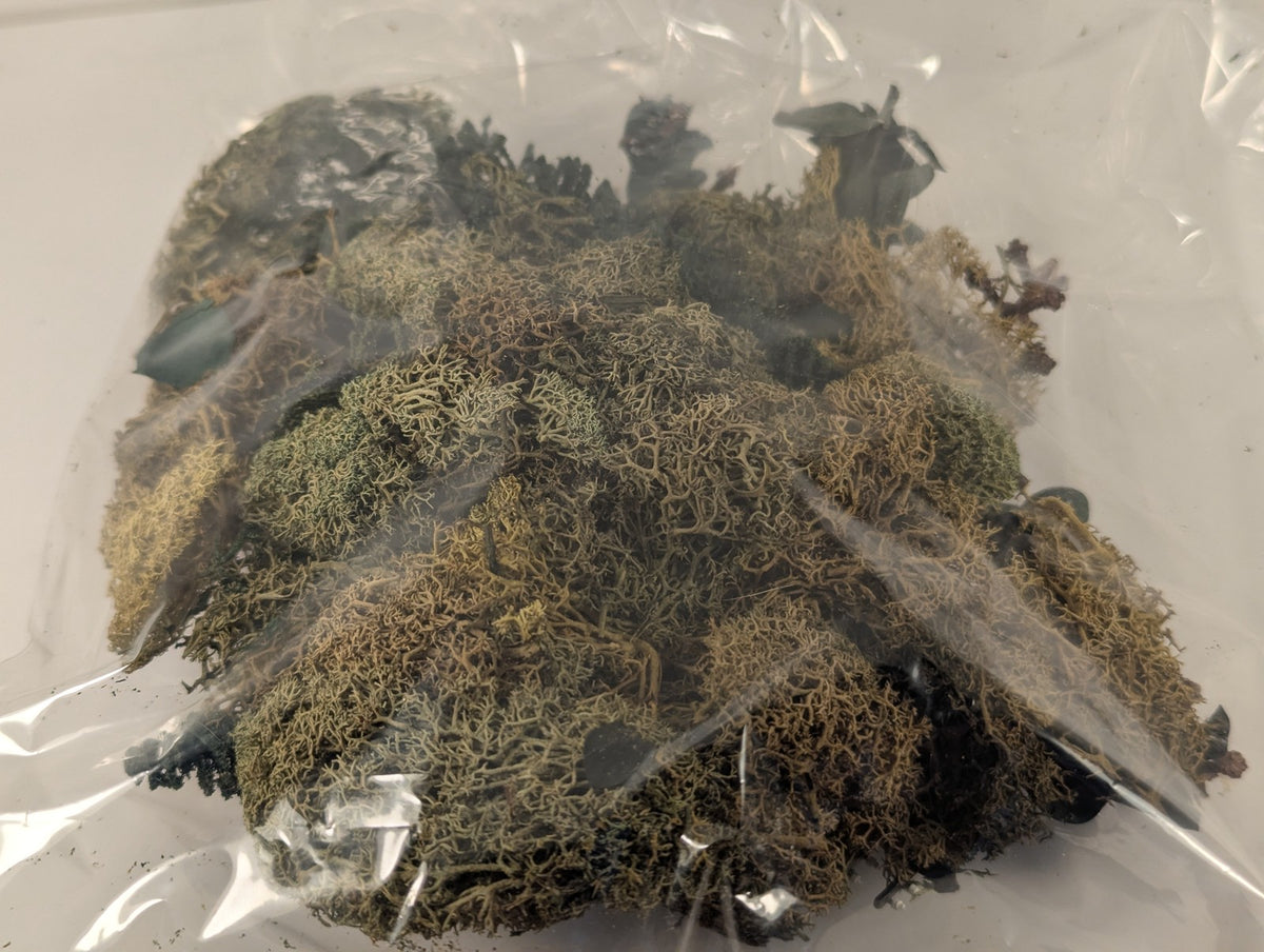 Lichen and Foliage Pack Scenic Materials