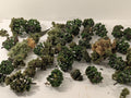 OO/HO Gauge Assorted Model Railway Trees Scenery & Trees